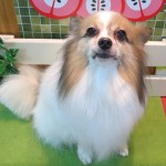 四郎くん