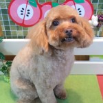福の助くん