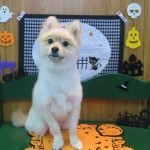 たろくん