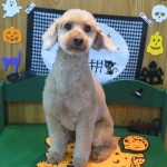 ジョニーくん