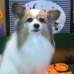 四郎くん