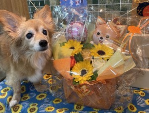 毎年欠かさず素敵なお祝いのお花とメッセージをくれる友人に感謝です(#^^#)
