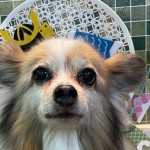 四郎くん