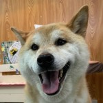 げんきくん