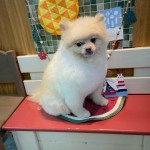 小太郎くん