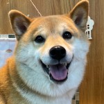 小正くん