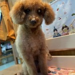 おはぎくん