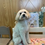ショーンくん