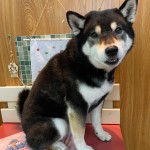 填くん