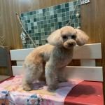 ララちゃん