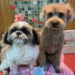 こうめちゃん＆えびすまるくん