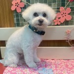 健くん