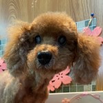 ラッキーくん