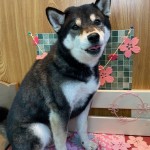 填くん