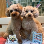 ルルくん＆ララちゃん
