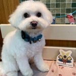 健くん
